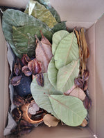 Bluewave Botanicals -Brand Partner - Small Leaf Pack